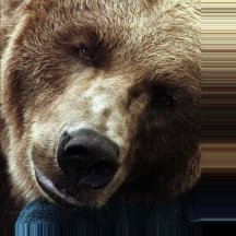 Bart the Bear II