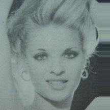 Iara Stein