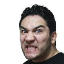 Perro Aguayo Jr.