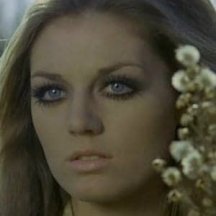 Simonetta Vitelli