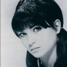 Jacqueline Giroux