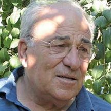 Jacques Cohen