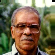 N.N. Pillai