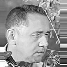 Robert Stevenson