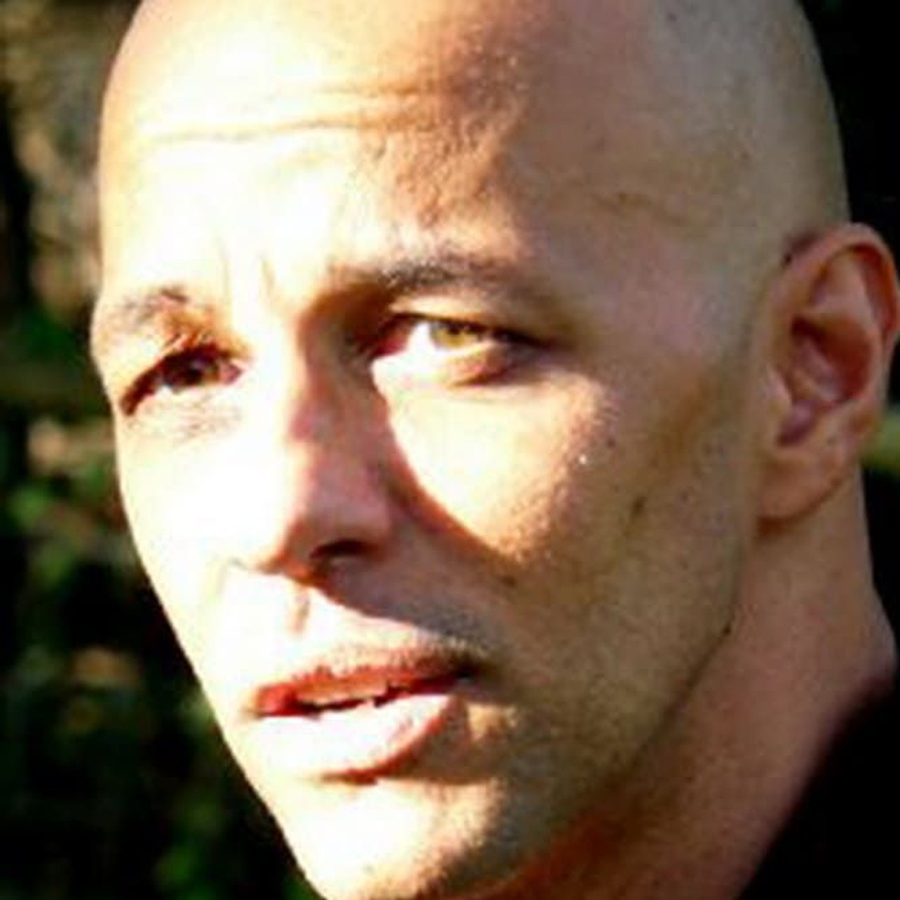 celebrity-poster